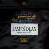 Мужская байкерская кожаная косуха «Dean Edition» Schott® Collection